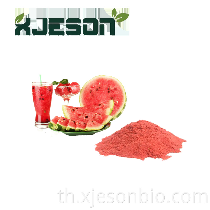 Spray Dried Watermelon Fruit Juice Concentrate Powder For Beverage
